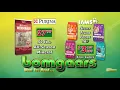 2021 Bomgaars TV53 Purina Iams CVA-BOM-1533