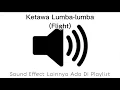 Lagu Sound Effect Ketawa Lumba-lumba (Flight)