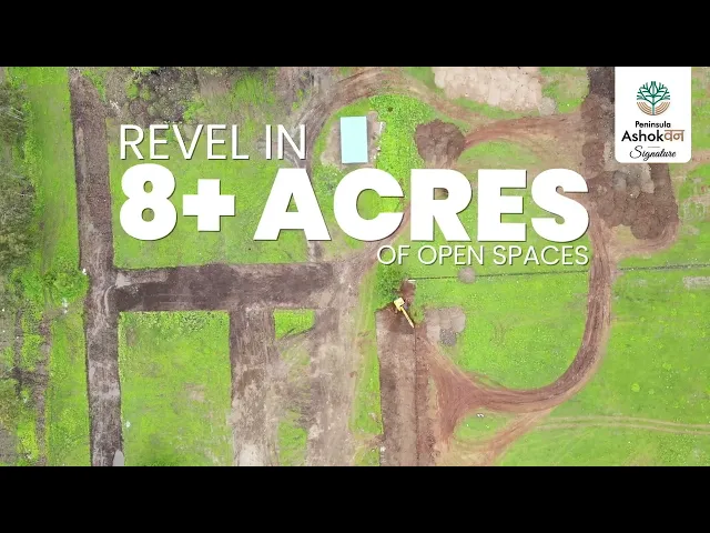 Project Video