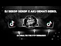 Lagu DJ SEKOP SEKOP X AKU NGEMATNE GEBOL VIRAL TIK TOK TERBARU 2024