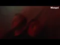 Ruel - too many feelings (Lyrics)