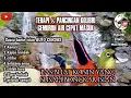 Download Lagu TERAPI KONIN Biar CEPAT BONGKAR ISIAN \u0026 TERAPI SUARA AIR