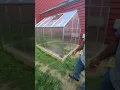 Harbor Freight 8 x 6 Greenhouse installing the window clips