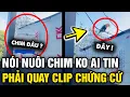 Lagu Nói NUÔI CHIM nhưng chỉ thấy CÁI LỒNG TRỐNG, chàng trai bất lực QUAY LẠI BẰNG CHỨNG | Tin 3 Phút