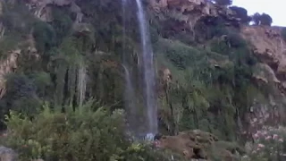 أغنية نادرة للمرحوم محمد رويشة 