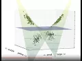 How Support Vector Machines work How to open a black box