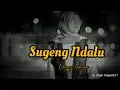AMBYAR!!! SUGENG NDALU-DENNY CAKNAN Cover by Intan Mayora Mp3 Song Download