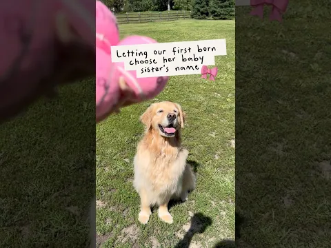 We couldn’t decide so we let our dog decide on our baby’s name 💕 #dogshorts #goldenretriever