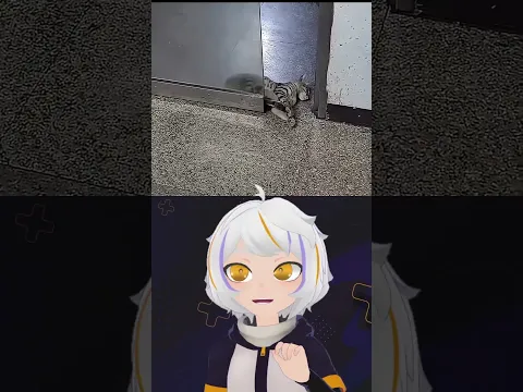 Gatito Peligro Puerta se Cierra