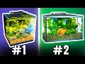 Best 10 Gallon Fish Tanks and How to Set Them Up