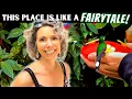 Download Lagu HAPPIEST PLACE IN ECUADOR! (Mindo Ecuador Hummingbirds)