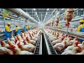 Inside the Chicken Factory Processing Millions of Chickens for Meat