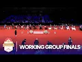 Working Group Finals 2025 AKC National Championship Presented by Royal Canin