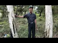 Download Lagu Benda sejarah episot 2