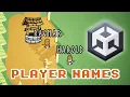 Unity Multiplayer 2024 Syncing Player position and name