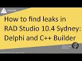 Using Deleaker in RAD Studio 10 4 Sydney to Identify and Fix Memory Leaks