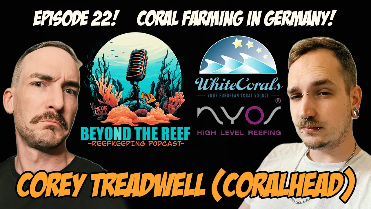 Coral Farming in Germany! Corey T/Coralhead (White Corals)
