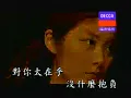 对你太在乎 - 陈慧琳  Mandarin.wmv