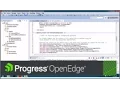 OpenEdge Being More Productive with Progress Developer Studio for OpenEdge