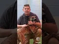 MASH Minute - Maverick