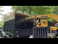 Woody s Tree Service - Monmouth County NJ
