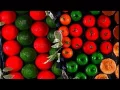 Download Lagu Rose Brand Commercial
