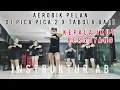 Download Lagu Senam Aerobik Pelan DJ Pica Pica 2 X Tabola Bale