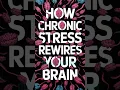 Download Lagu How Chronic Stress Rewires Your Brain