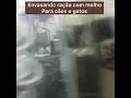 Download Lagu Embalagem pré formadas..ração para cães e gatos