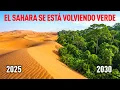 Lagu El Sahara se está volviendo verde: ¿Está la Tierra repitiendo el pasado?