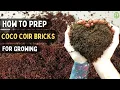 How to Prepare Coco Coir Bricks for Microgreens Gardening Step by Step