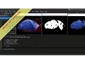 Image Analysis Color Object Tracking cvtColor inRange - OpenCV for Python Tutorial 03 2