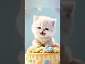 Lagu Little kitten so happy and singing Apt Apt aha aha 😍🥰😻😂