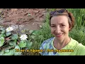 Download Lagu #119 Свобода. Природа. Бизнес...из болота