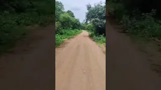        دندنها