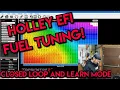 Download Lagu Fuel Tuning On The Holley Terminator X, It's So Easy!
