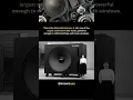 Download Lagu Mitsubishi Diatone D-160 – The World's Largest Subwoofer