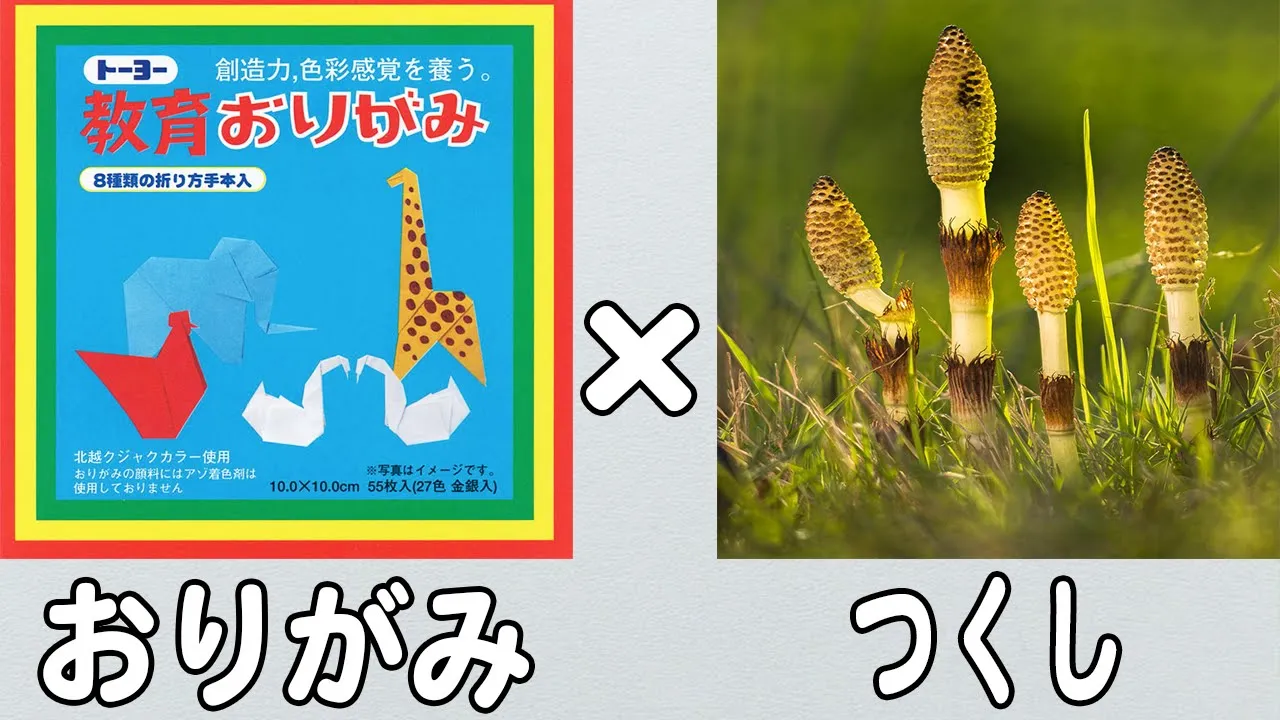 연장 반 아이들이 푹 빠지는! 4월에 딱 맞는 종이접기 아이디어 모음