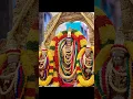 Download Lagu ஸ்ரீவைத்திய வீரராகவ பெருமாள்~பவித்ர உத்ஸவம் ஏழாம் நாள் மாலை #music #trendingshorts #devotionalhits
