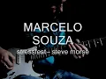 STRESSFEST ( STEVE MORSE )