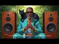 Locks You in the Groove 🎧 Vintage Soul Funk Vibes