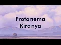 Protonema - Kiranya || Samudra Video Lirik