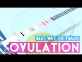 Determine your most fertile days using ovulation tests