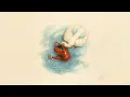RAIN ON ME (Official Audio) - Alex Jean & Hulvey