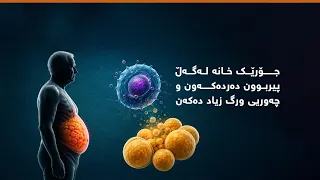 جۆرێک خانە لەگەڵ پیربون دەردەکەون و چەوریی ورگ زیاد دەکەن دندنها