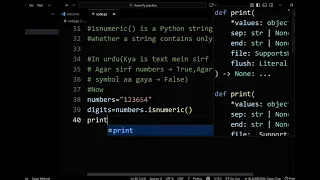 Python String Methods islower isnumeric isprintable Explained