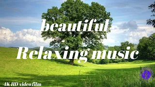 Relaxing Music for Sleep and Study: Beautiful Japanese Piano