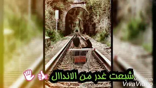 أجمل حلات واتس انا اللي عشت ياناس سندال 