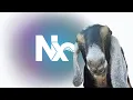 Soo what is Nx