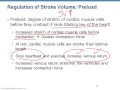 Chapter 18 - Cardiac Output